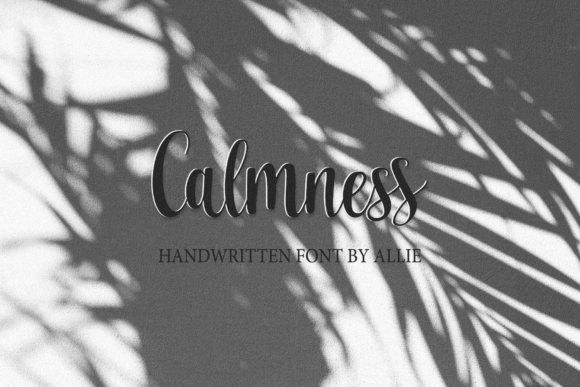 Calmness Font Review: A Timeless Typeface for Campaigns