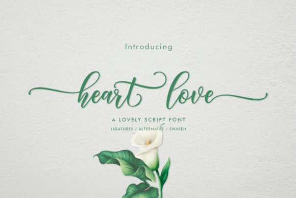 Heart Love Font for Business