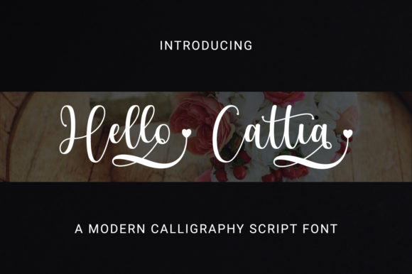 Hello Cattia Font Review