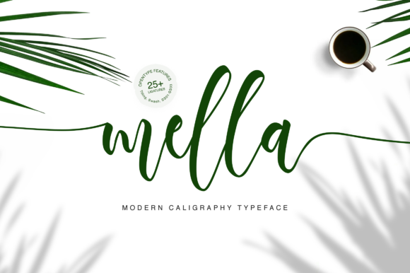 Mella Font: A Modern Script That Elevates Branding with Elegance