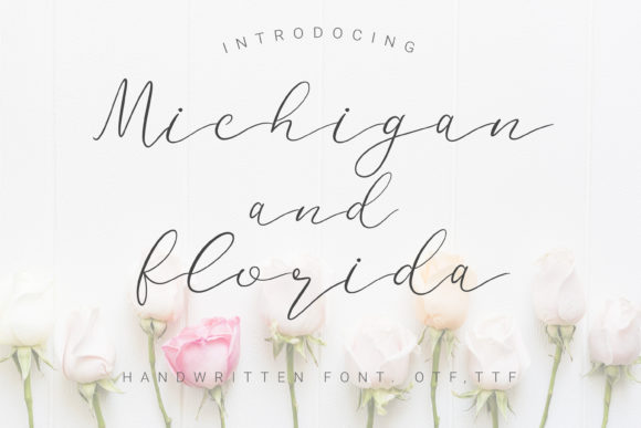 Michigan and Florida Font Review